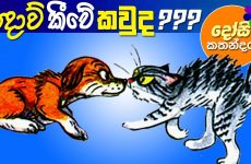 Who Said Meow Sinhala Cartoon